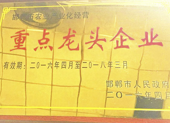 lin-yi-tang-yao-ye-zhong-dian-long-tou-qi-ye.jpg