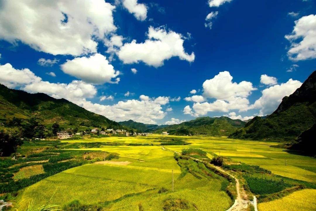 河北省将培育六大乡村旅游特色品牌