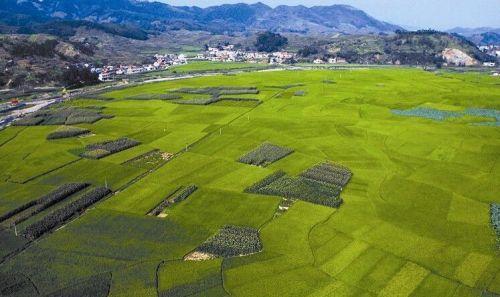 河北将开展第二轮土地承包到期后再延长30年试点